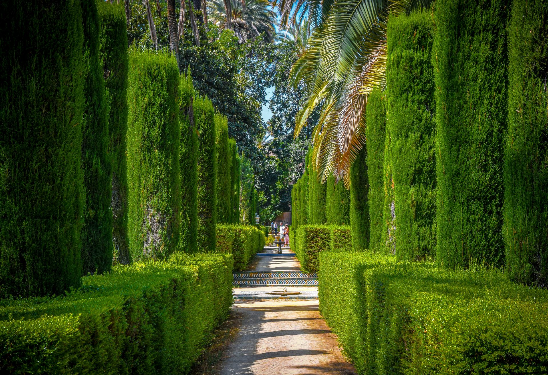 Cypress-lined garden path