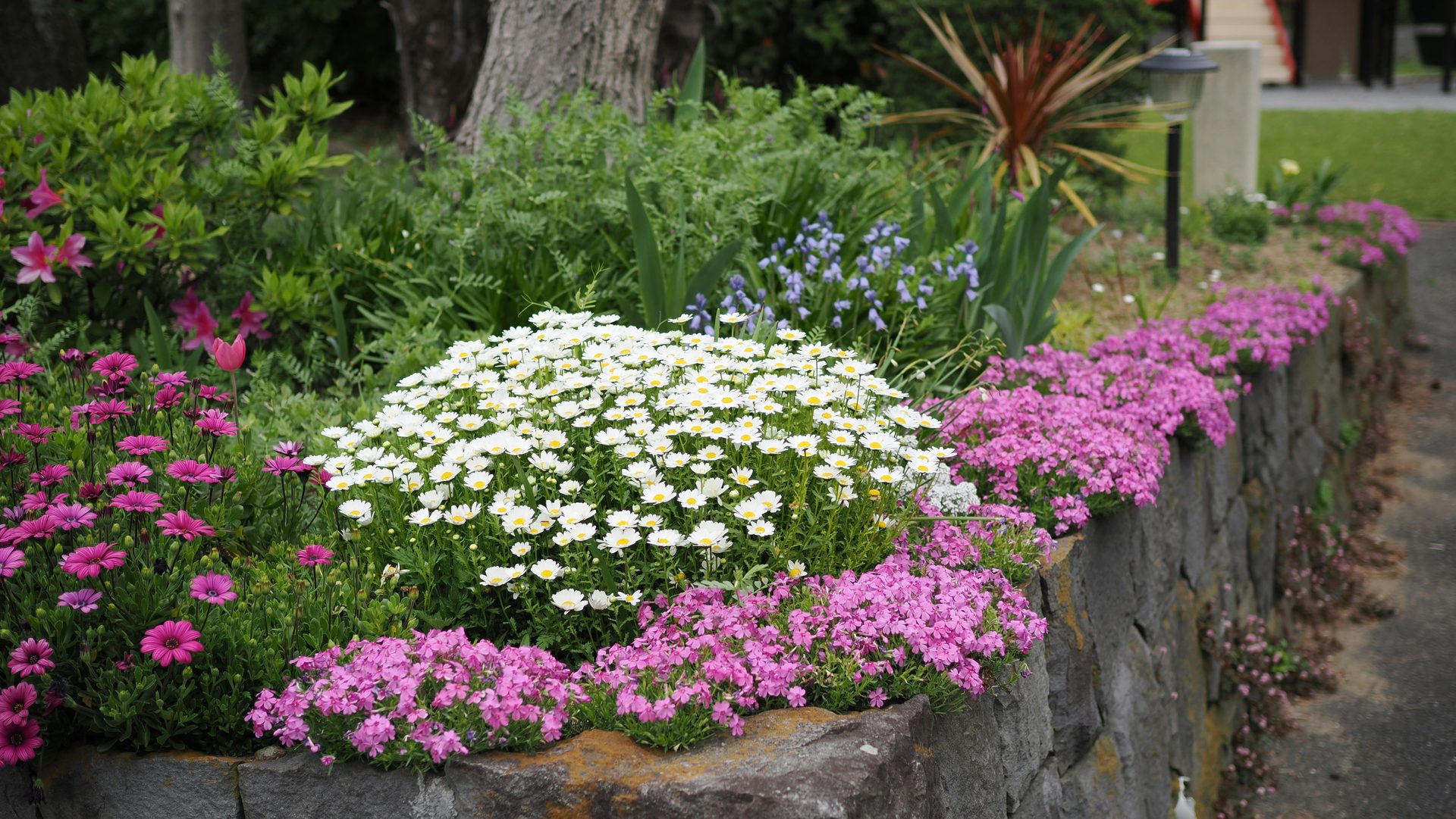 Stone wall flower border